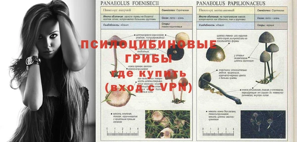 apvp Абинск